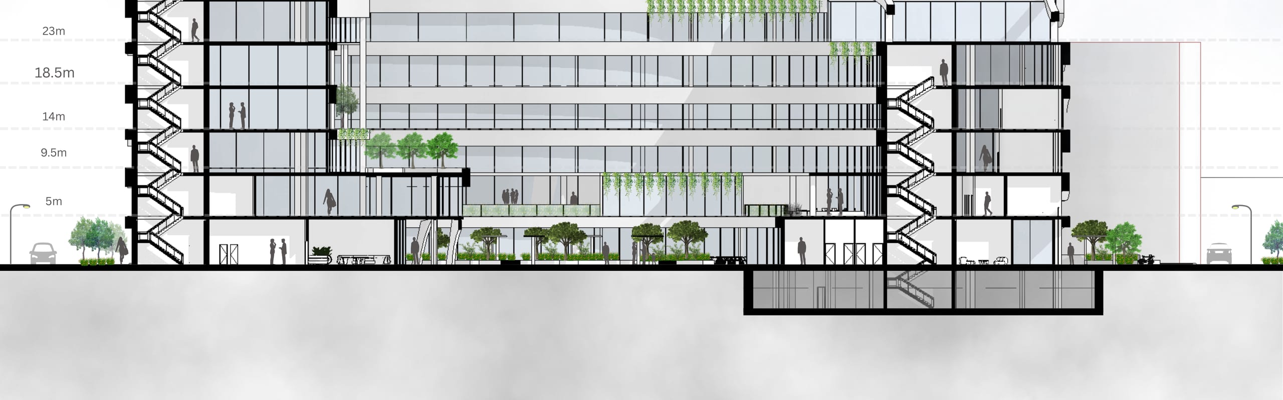 Section AA through the Terra building, cropped to the drawing